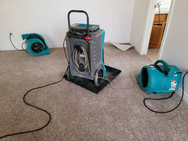 Best Water damage cleanup near me  in Comanche, TX
